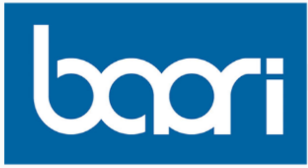 DONGGUAN BAORUI ELECTRONIC CO.,LTD logo