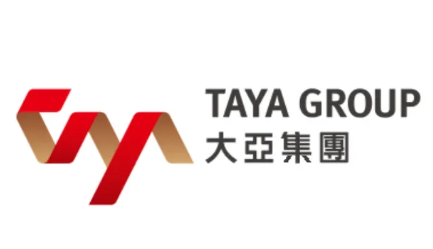 TAYA GROUP logo